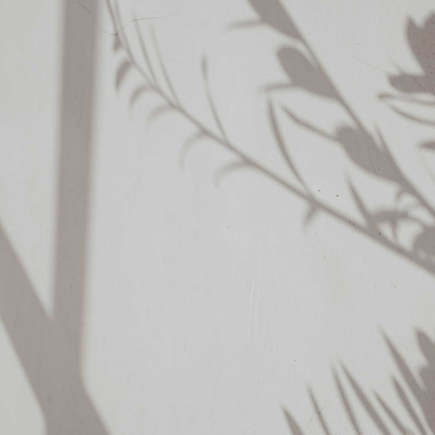 Portrait of Jamie, a professional stylist at The Gloss Society, showcasing their expertise and style.