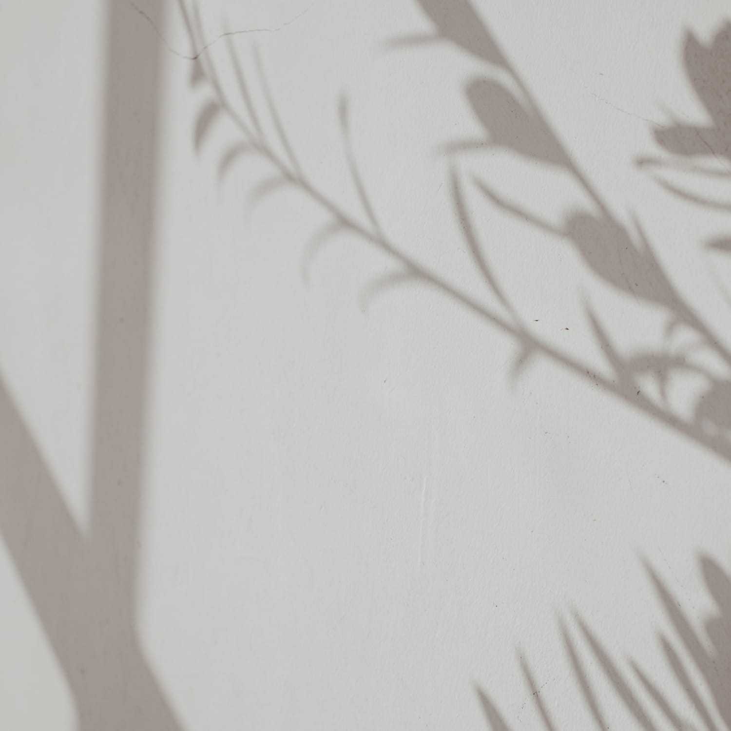 Portrait of Jamie, a professional stylist at The Gloss Society, showcasing their expertise and style.